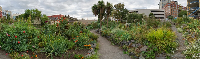 Belltown Cottage Park, Seattle WA