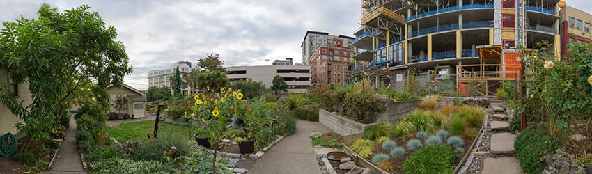 Belltown Cottage Park, Seattle WA