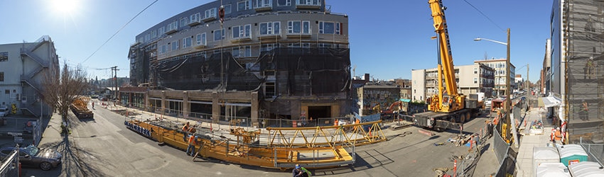 11th Ave, N of Union St, Capitol Hill, Seattle WA