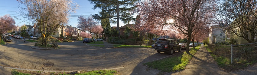 15th Ave & Spruce St, Central District, Seattle WA