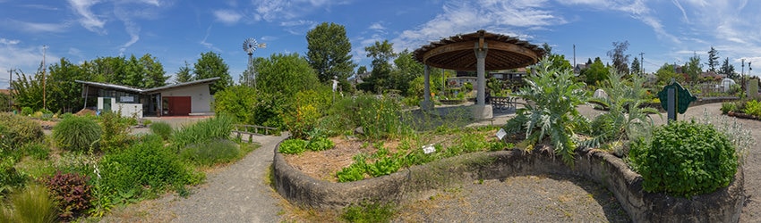Bradner Gardens Park, Mt Baker, Seattle WA