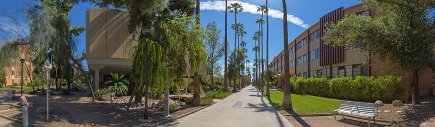 Palm Walk, ASU, Tempe AZ