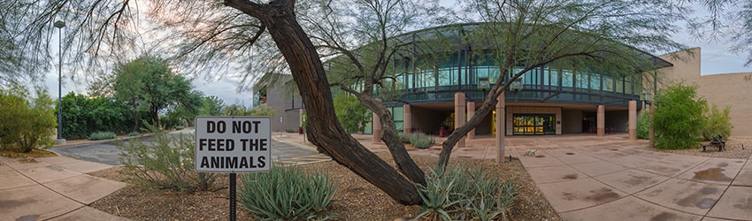 Glendale Public Library, Glendale AZ