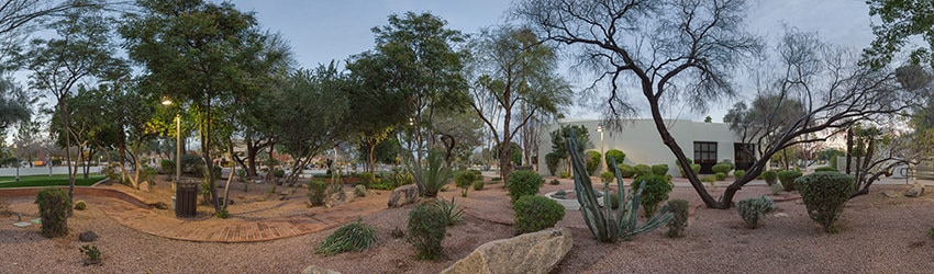 Desert Garden at Civic Center Mall, Scottsdale AZ