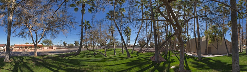 Hurricane Palms, Pure Heart Christian Fellowship, Glendale AZ