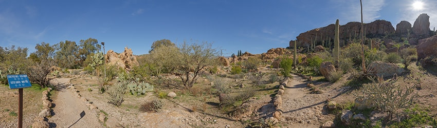 Trails, Boyce Thompson Arboretum, Superior AZ