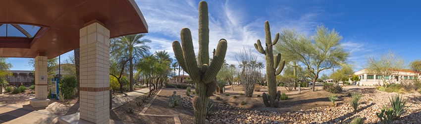 Desert Garden, Peoria Municipal Complex, Peoria AZ