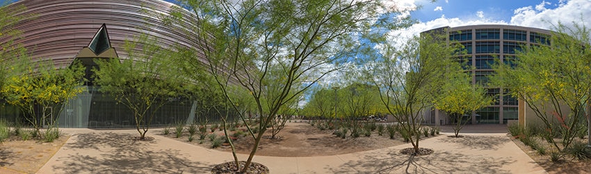 University of Arizona College of Medicine, Phoenix AZ