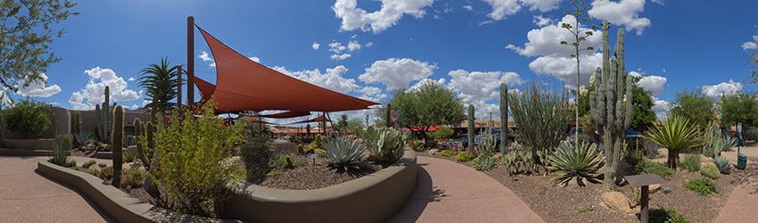 Carefree Desert Gardens, Carefree AZ