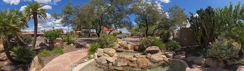 Carefree Desert Gardens, Carefree AZ