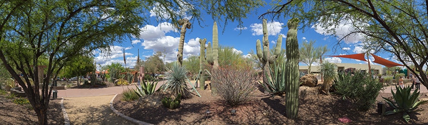 Carefree Desert Gardens, Carefree AZ