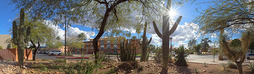 Arizona State University, Tempe AZ