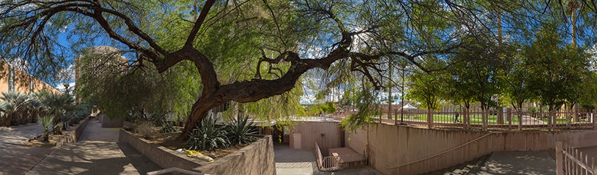 Arizona State University, Tempe AZ