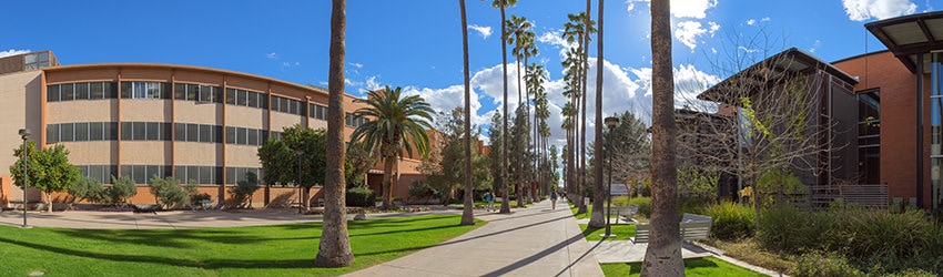 South Palm Walk, ASU, Tempe AZ