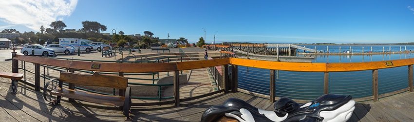 Harbor Boardwalk, Bandon OR