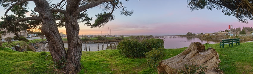 Alex Linke Wayside, Bandon OR