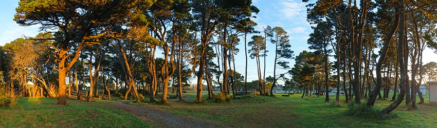 City Park, Bandon OR