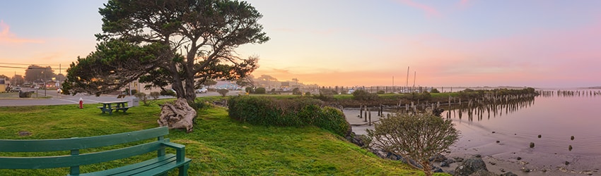 Alex Linke Wayside, Bandon OR