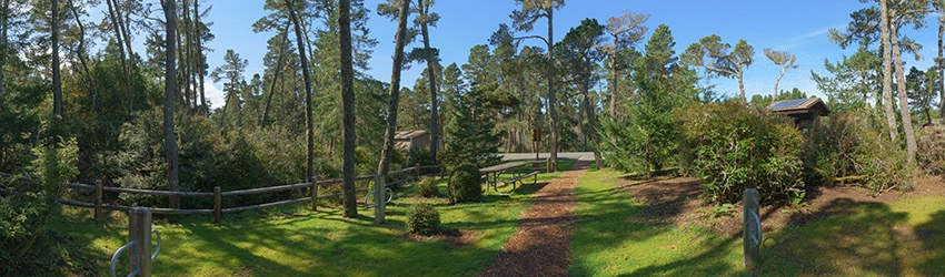 Campground at Bullards Beach State Park, Bandon OR