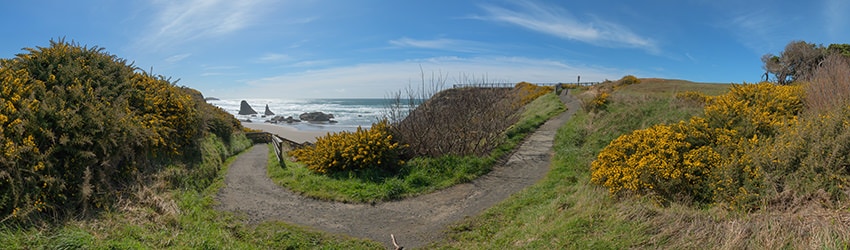 Face Rock State Scenic Viewpoint, Bandon OR