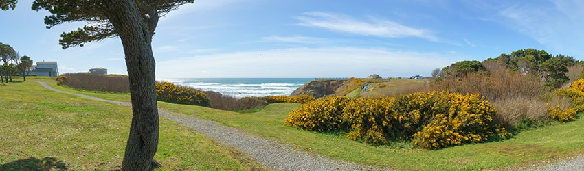 Park at Face Rock State Scenic Viewpoint, Bandon OR