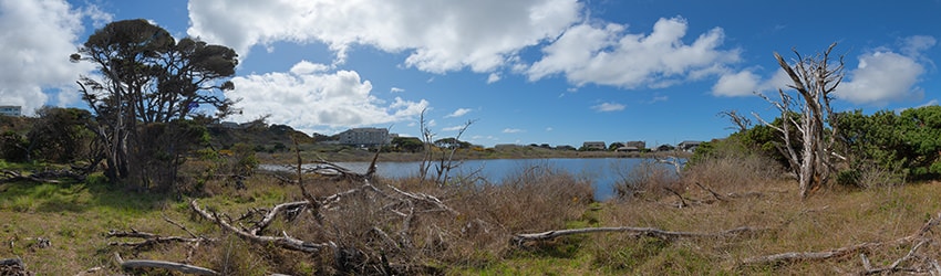 Redmon Pond, Bandon OR