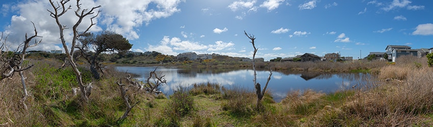 Redmon Pond, Bandon OR