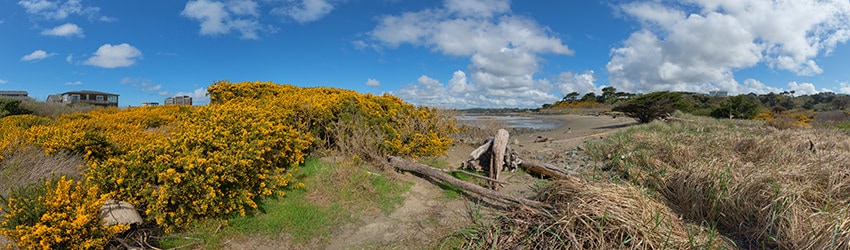 Redmon Pond, Bandon OR