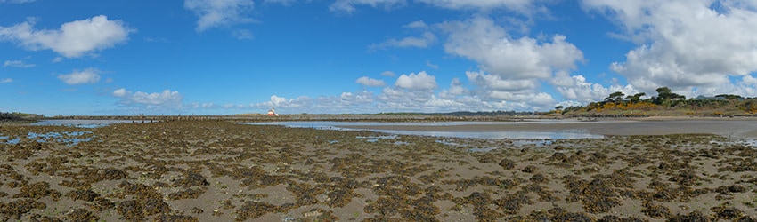 Coquille Riverbank, Bandon OR