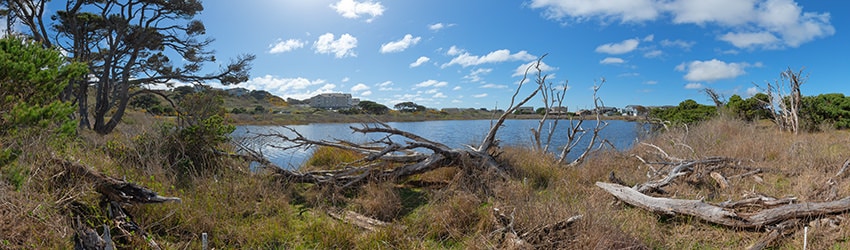 Redmon Pond, Bandon OR