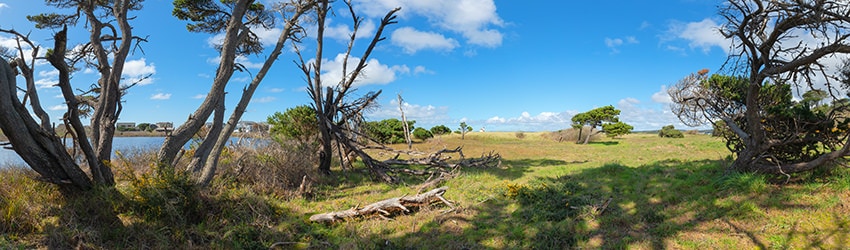 Redmon Pond, Bandon OR