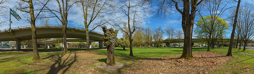 Washington Jefferson Park, Eugene OR