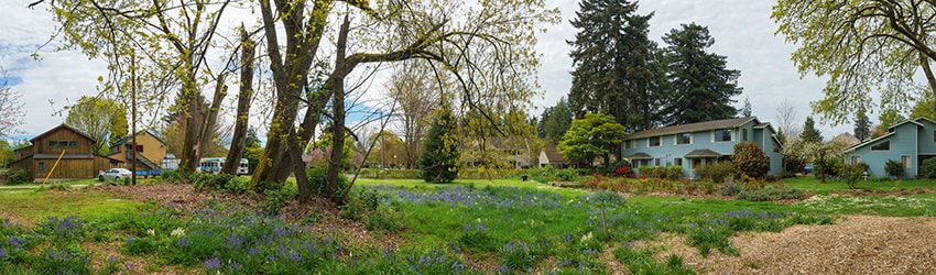 N of Adams St & Sycamore St, Eugene OR