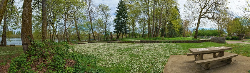 River Wood, Eugene OR