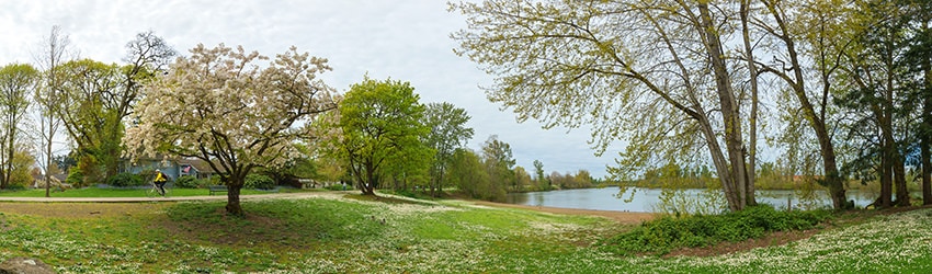 River Wood, Eugene OR