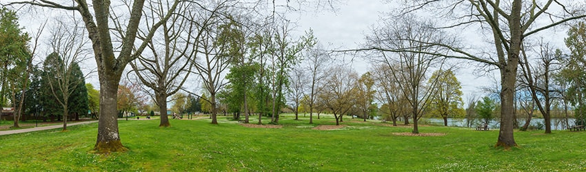 Maurie Jacobs Park, Eugene OR