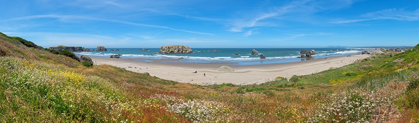 Beach at Table Rock, Bandon OR