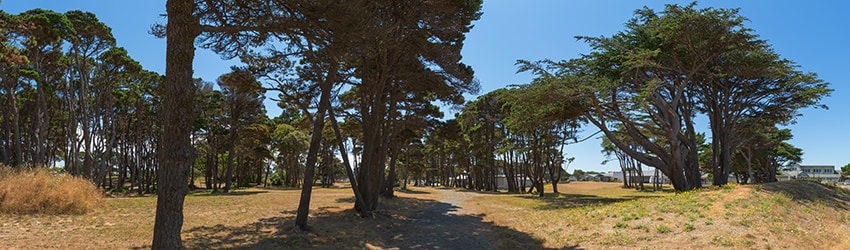 City Park, Bandon OR