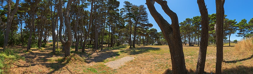 City Park, Bandon OR