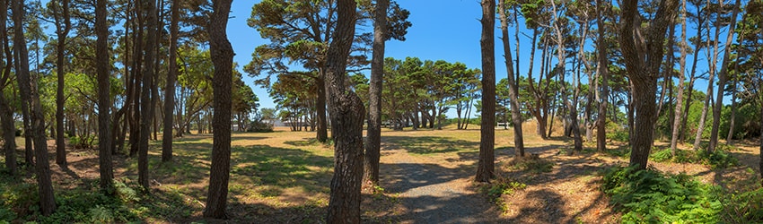 City Park, Bandon OR