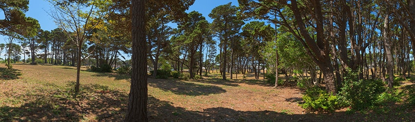 City Park, Bandon OR