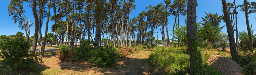 City Park, Bandon OR