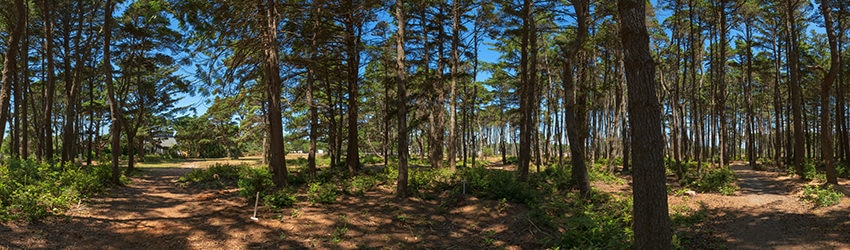 City Park, Bandon OR