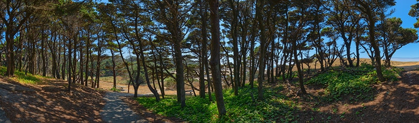 Devils Kitchen State Park, Bandon OR