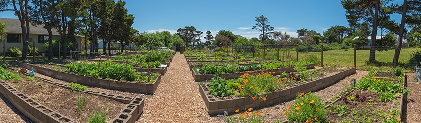 Good Earth Community Garden, Bandon OR