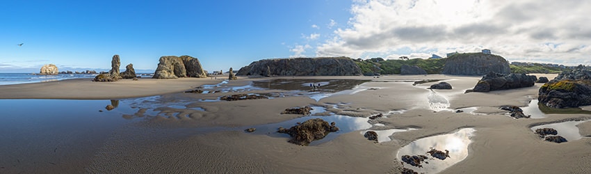 Beach at Face Rock, Bandon OR