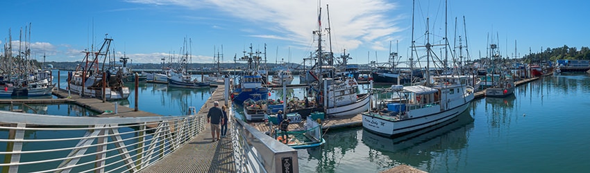 Port of Newport Commercial Marina, Newport OR