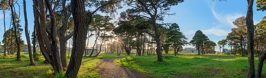 City Park, Bandon OR