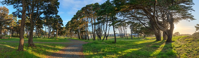 City Park, Bandon OR