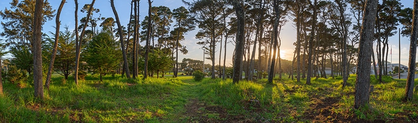 City Park, Bandon OR